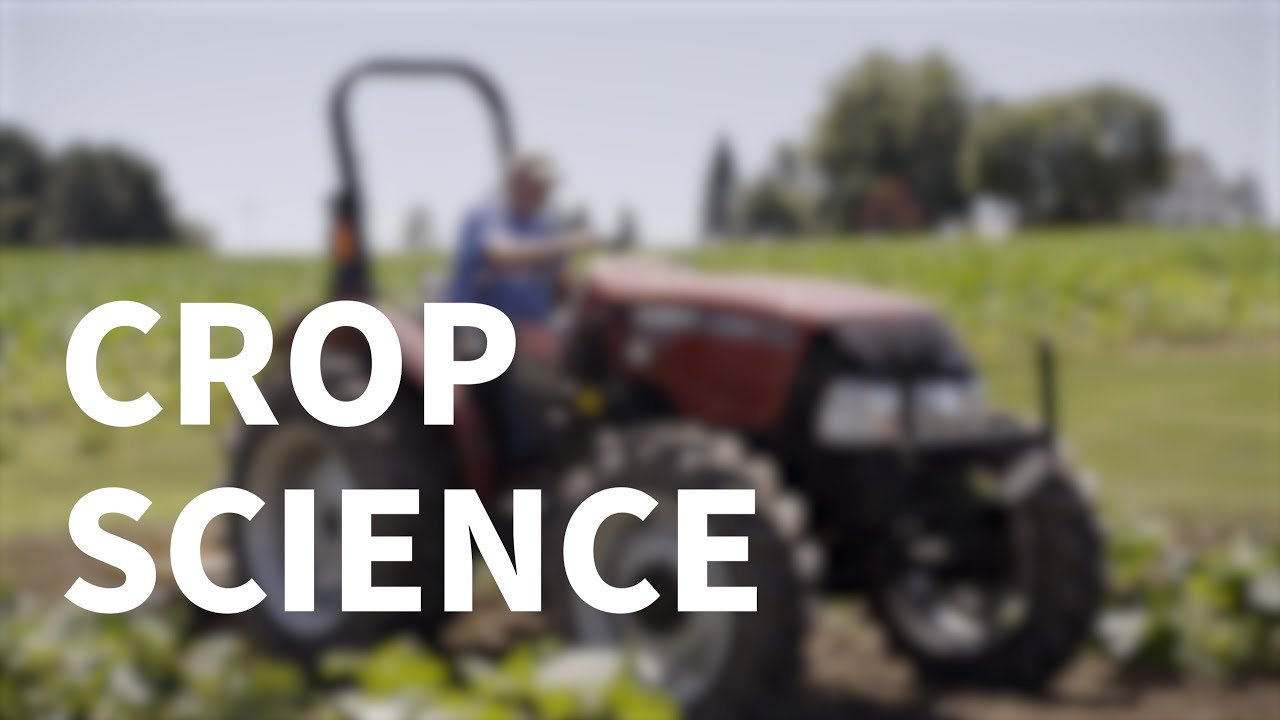 Crop Science Notes for GCE A-level